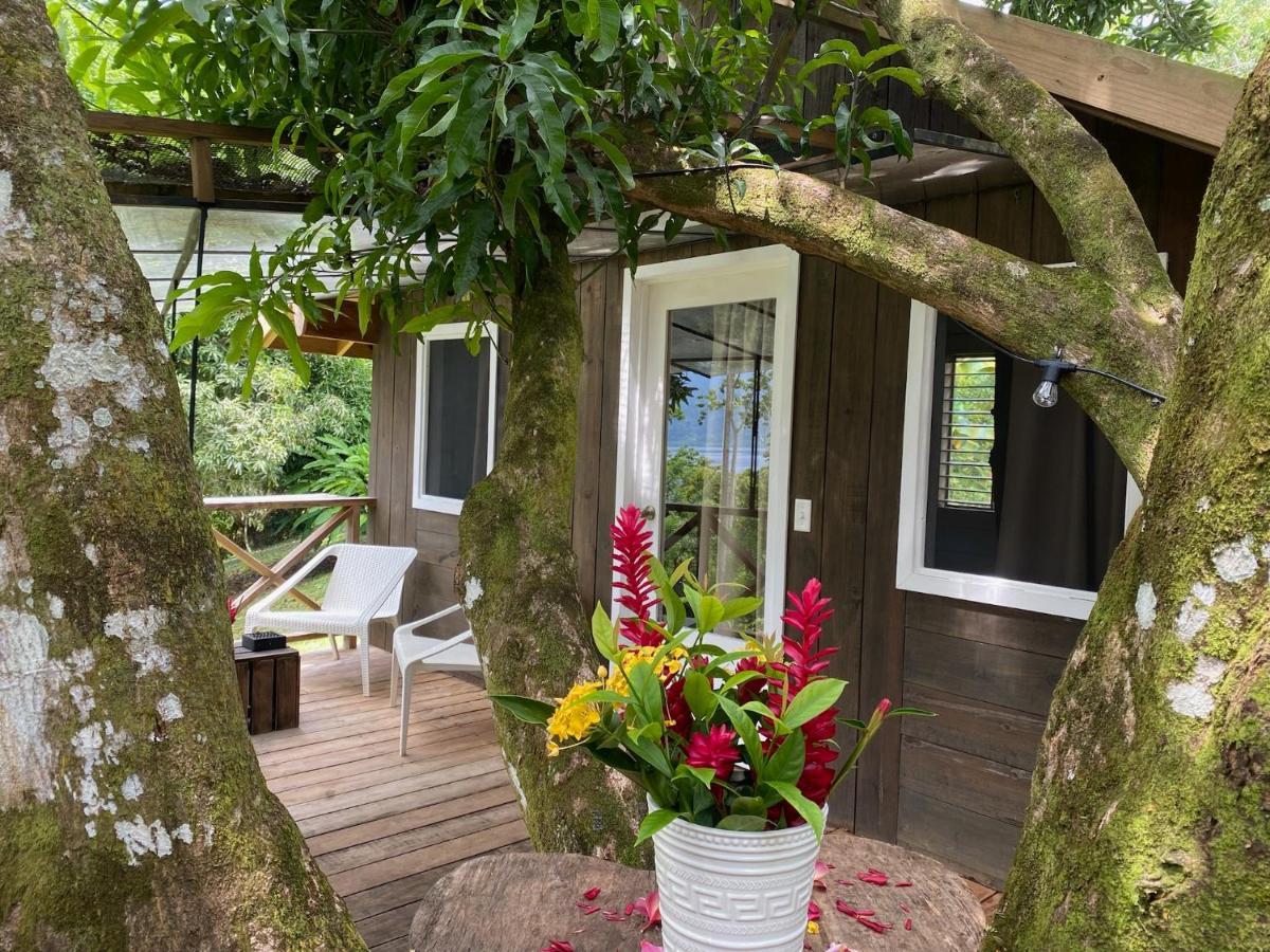 Finca Vela Lodge Bocas Town Luaran gambar