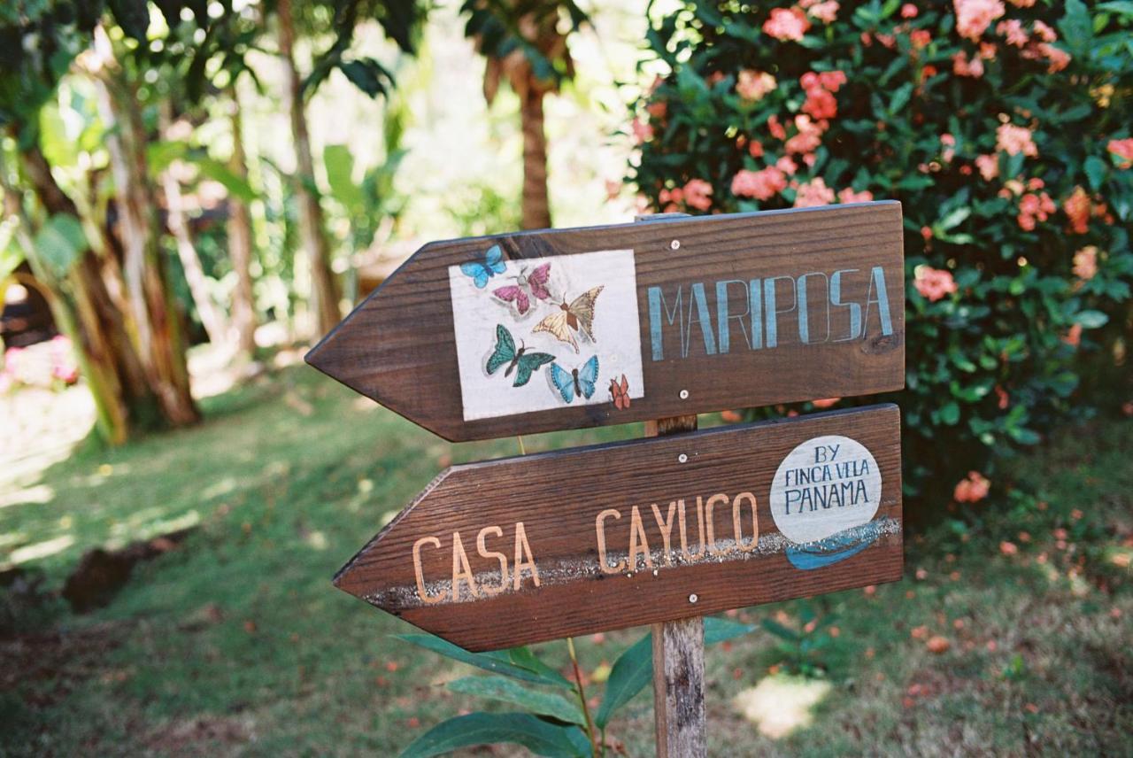 Finca Vela Lodge Bocas Town Luaran gambar