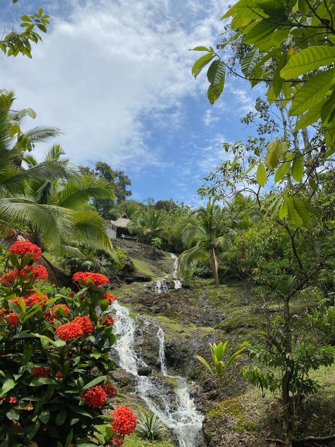 Finca Vela Lodge Bocas Town Luaran gambar