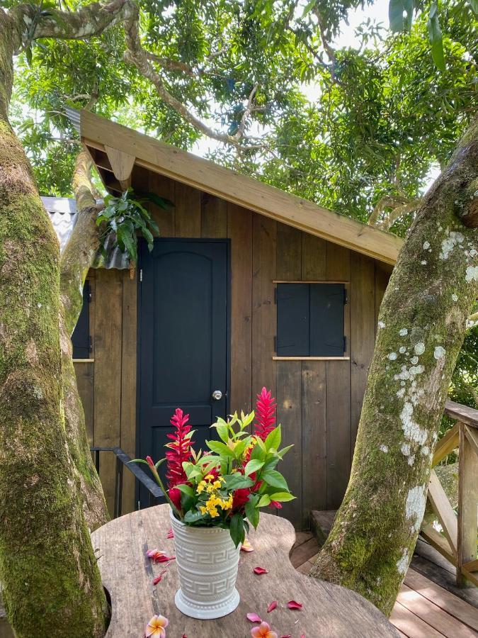 Finca Vela Lodge Bocas Town Luaran gambar