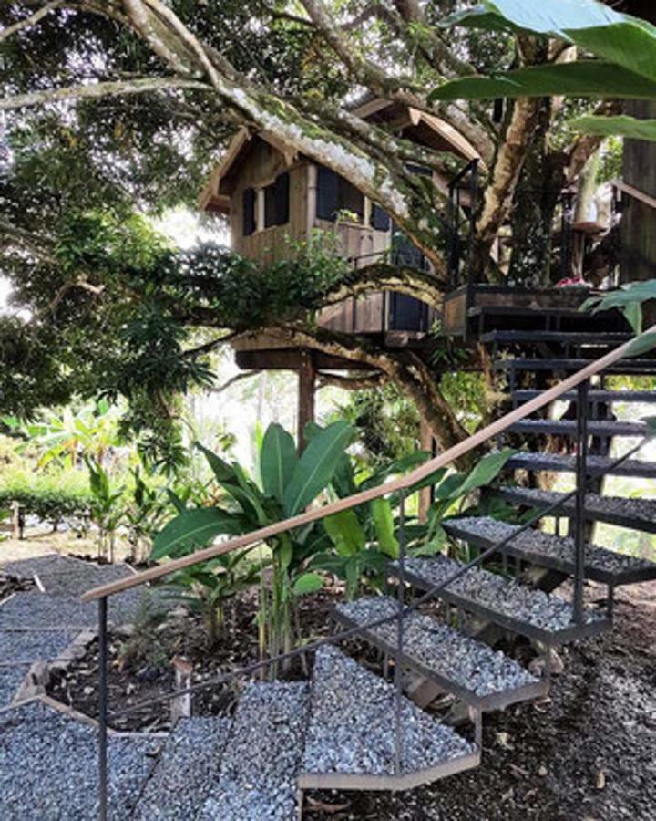 Finca Vela Lodge Bocas Town Bilik gambar